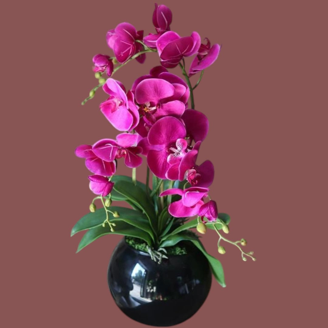 Artificial Orchid Arrangements In Black Pot