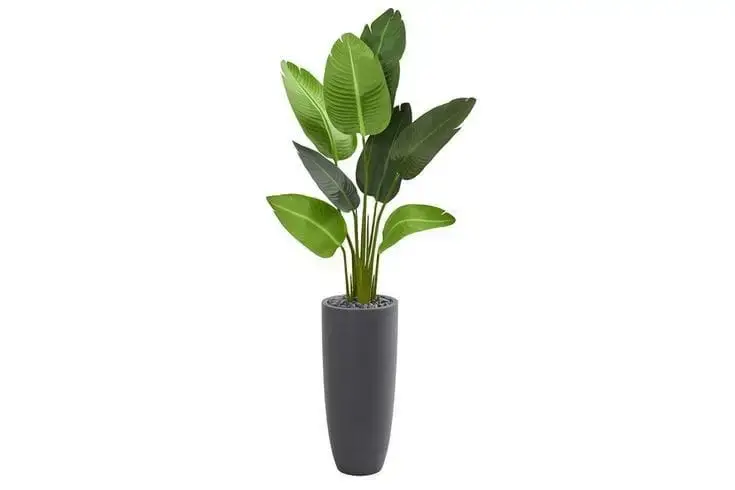 Artificial Plant In Black Pot