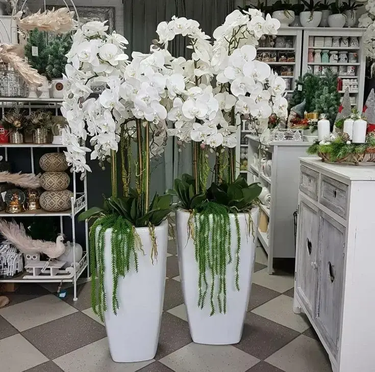 Set Of Two – White Orchid Stems In White Pots