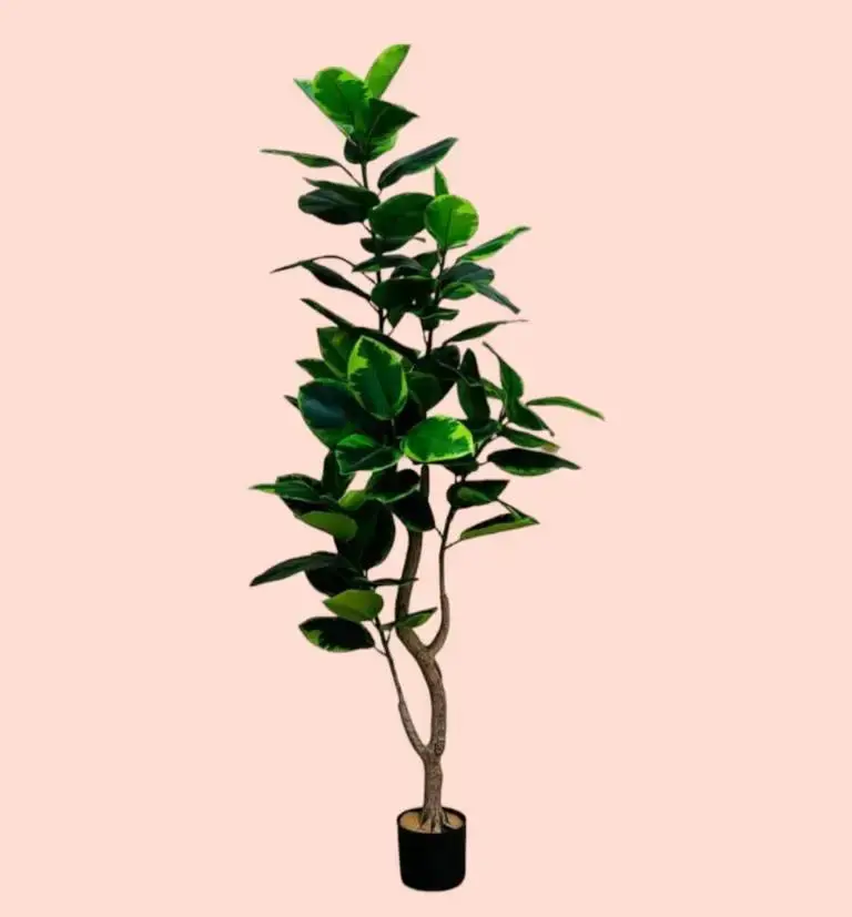 Thumbnail: A Touch Of Beauty Artificial Plant