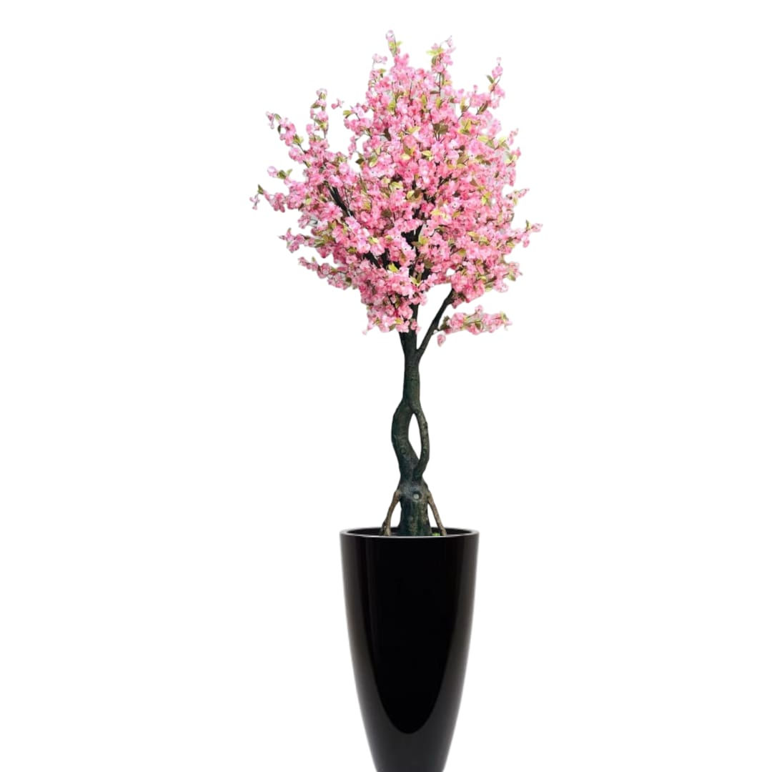 pink cherry blossom