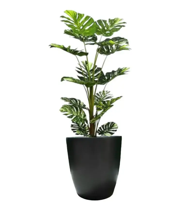 Artificial Monstera In Black Ceramic Pot