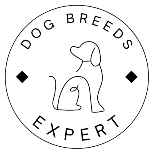 Writer: Dog Breeds Expert