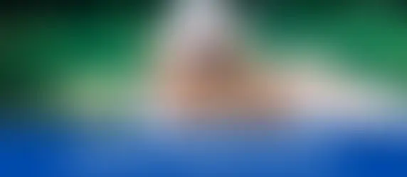 Top 4 Best Golden Retriever Breeders In Massachusetts