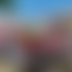 Salto – Alunas do SENAC realizam atividade de cuidados especiais para pessoas atendidas pela ABRAPEC.