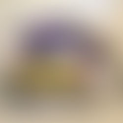 Jaboticabal – Encontro Limiar 3ª Edição “Convém” arrecada óleo e leite e realiza doação à ABRAPEC.