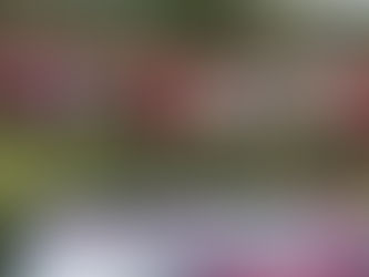 Taguatinga – ABRAPEC promove caminhada do Outubro Rosa no Taguaparque em prol da conscientização sobre o câncer de mama.