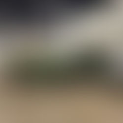 Campo Grande – ABRAPEC participa da Campanha Troco Solidário da Havan