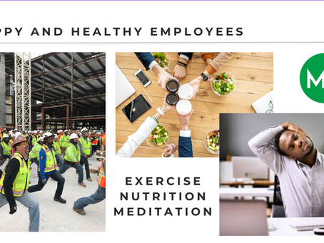 Holistic Health Wellness Journey