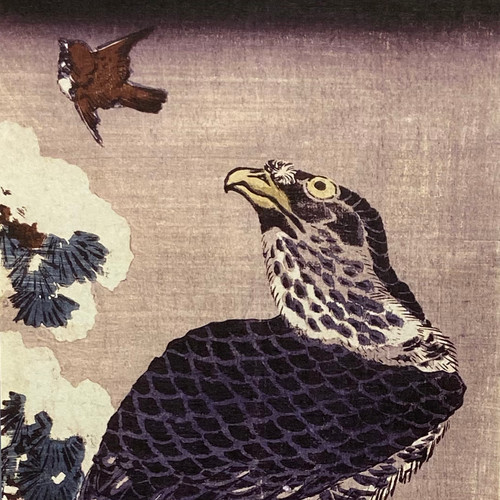【新品未使用】　縁起物　鷹　ビーズのれん　掛軸 シン 掛け軸 英泉【雪中松に鷹と雀】染め摺り | qbic