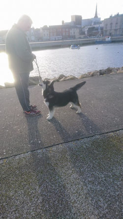 17238325_10210235039970045_1018605863_n