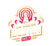 DALL_E_2024-05-20_18.26.01_-_An_icon_version_of_a_logo_for_a_radio_station_named__La_Nueva