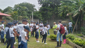 Reforestando Estamos
