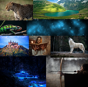 moodboard livro de fantasia
