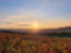 la cote des bar a l'automne