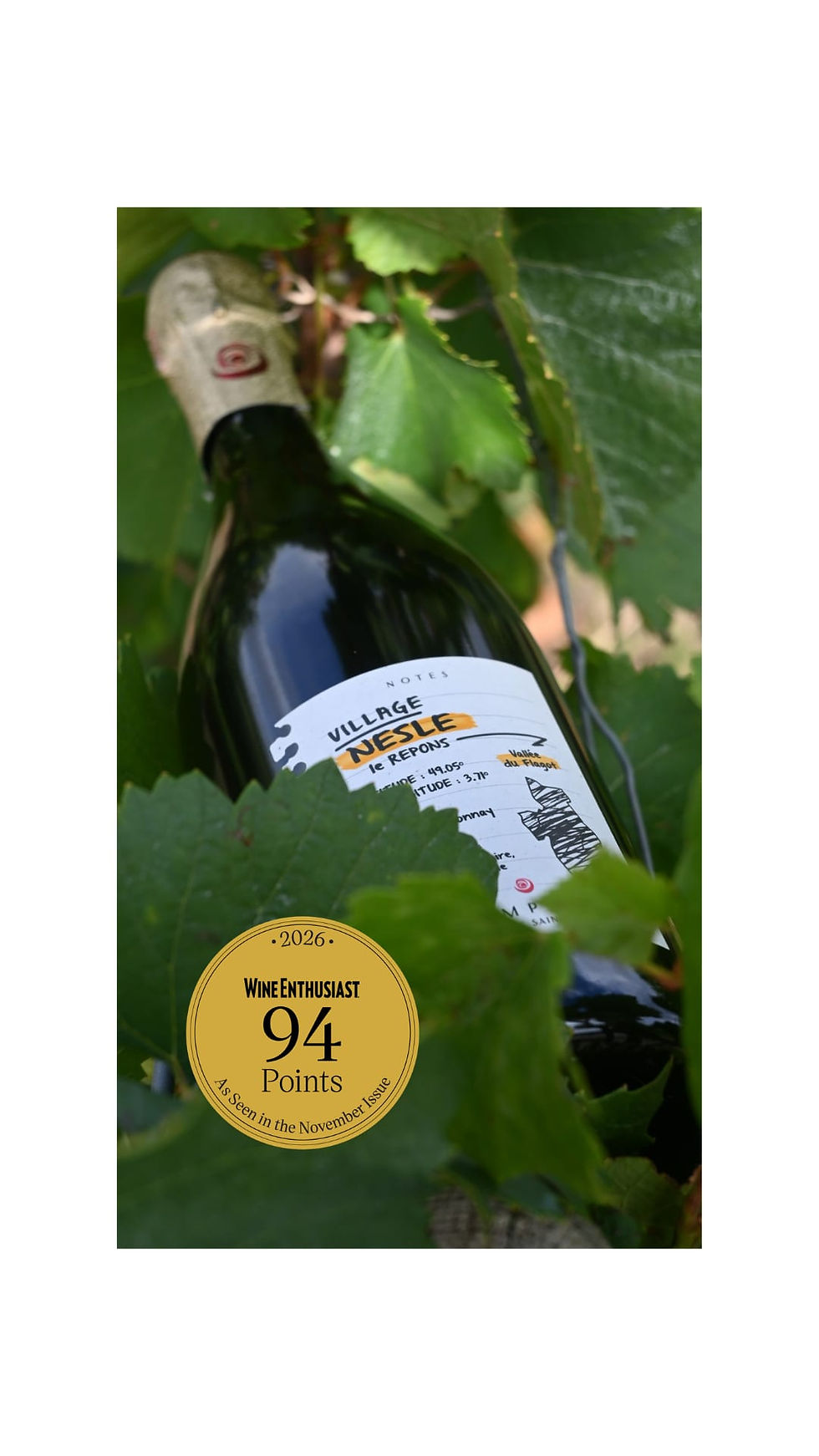 Champagne Saint Philibert Nesle le Repons Wine Enthusiast : 94 points pour une pépite parcellaire