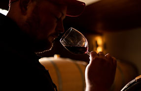 Travail en cave de Cellier de Bonneau