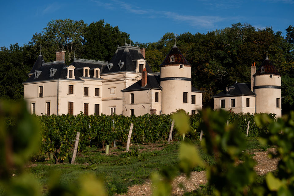 vignes et facades du Chateau de la Grange Arthuis, Lavau
