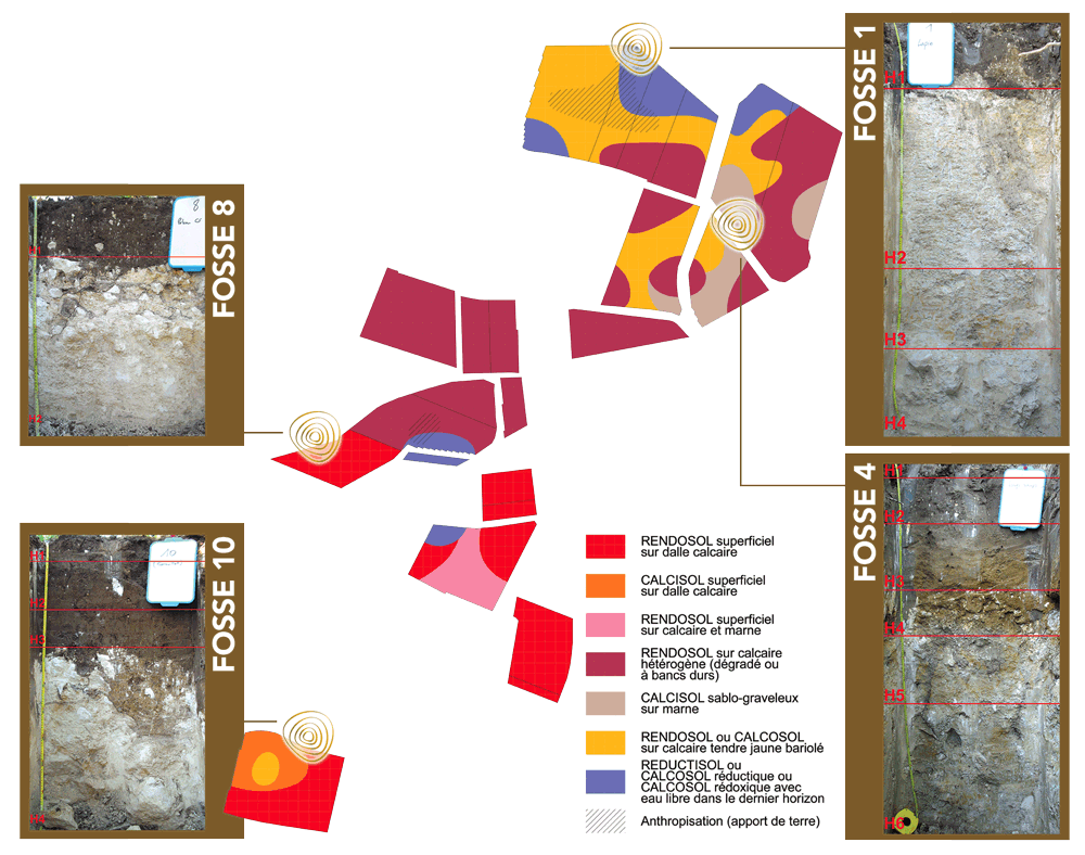 Terroir, Château Le Tertre de Caussan