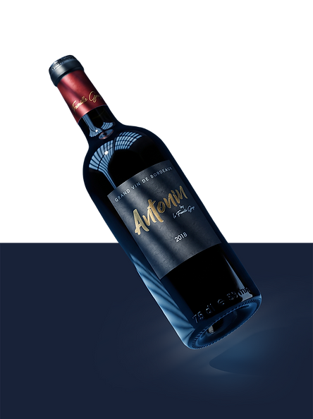 bouteille de vin bordeaux
