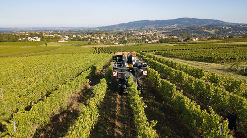 DJI_0109.jpg
