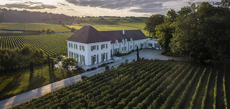 Clos des Belvals, Vertus Blancs-Coteaux