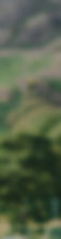_D3_4738-2_edited.jpg