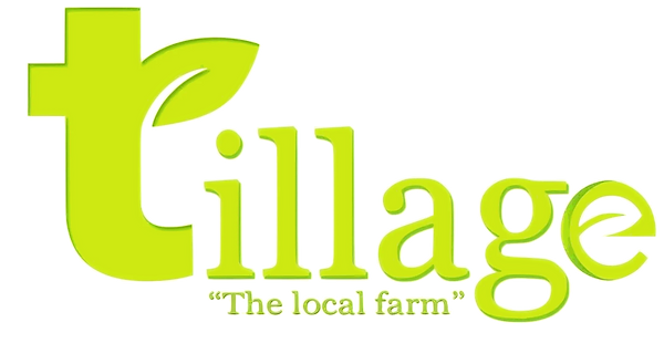 Tillage | vegetable store konnagar