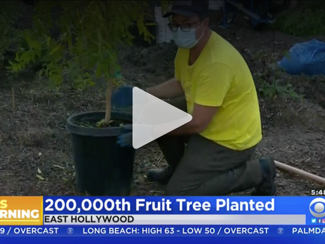 Food And Hope: Group Accomplishes Goal Of Planting 200,000 Fruit Trees By End Of 2020