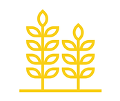 Untitled design (11).png