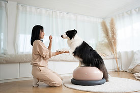 iStock-1952194807.jpg