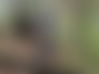 Wallonia Cup Erezée