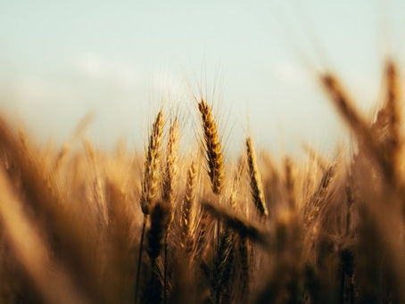 Riconoscersi bisognosi, sapersi aiutanti