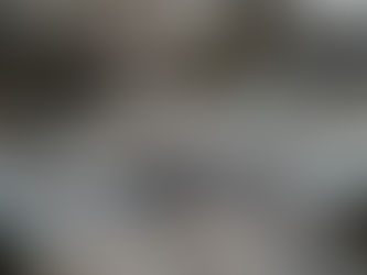 L'albero genealogico