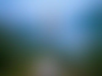 Fino in fondo, senza freni