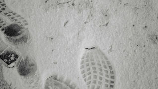 Tracce di Dio nella nostra storia