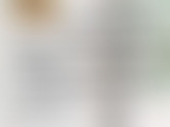 Programma Domenica delle Palme