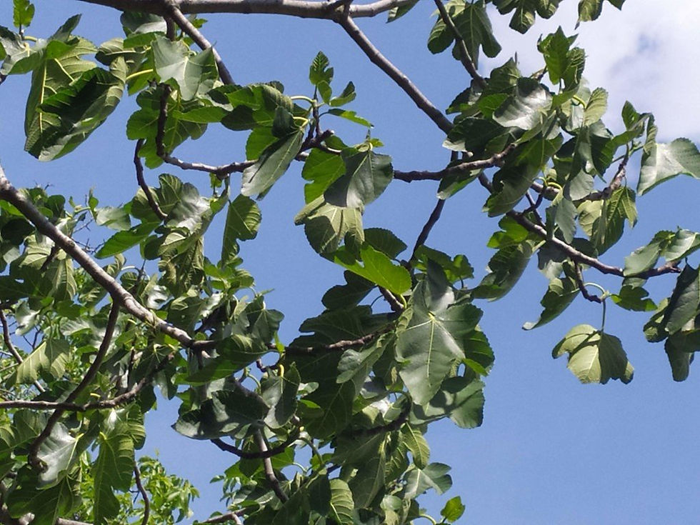 In rispetto del tuo tempo
