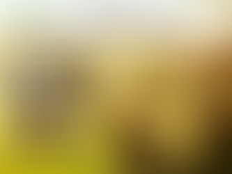 Io do la vita eterna