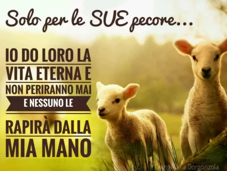 Io do la vita eterna