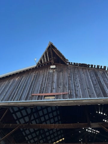 Image-6 (1)