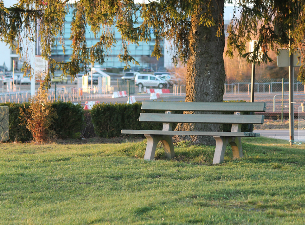 Thumbnail: Piccadilly Bench