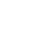 Professional Logo (1) copy.png