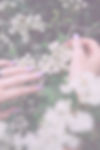 person holding white and yellow flowers_edited.jpg