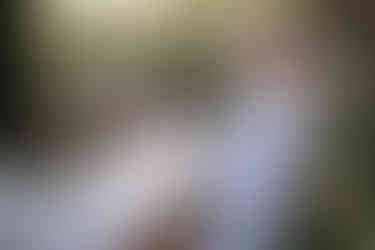 einlauf braut zur trauung bei waldhochzeit in bern