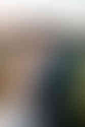 brautpaar beim sonnenuntergang, kopf an kopf. seminarhotel bocken, horgen