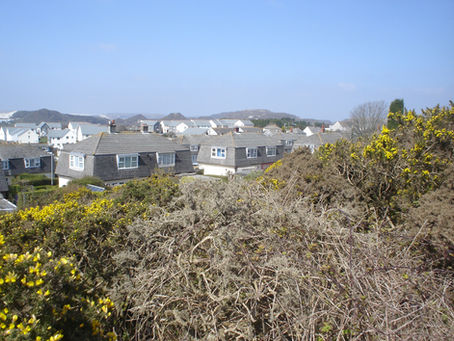 Employee earnings 2025 – Cornwall compared