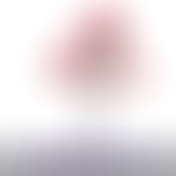 什麼是帳號警示戶?