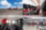 ree