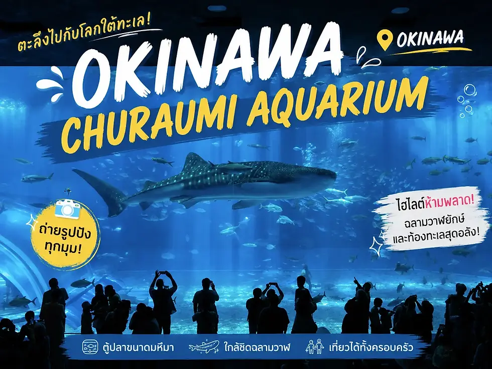 รีวิว Okinawa Churaumi Aquarium ท่องโลกใต้ทะเล ดูฉลามวาฬยักษ์ที่ห้ามพลาด
